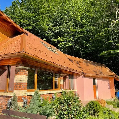 Ranch Diamond Sarajevo With Jacuzzi Alpesi faház *