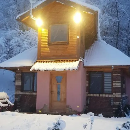 Ranch Diamond Sarajevo With Jacuzzi Alpesi faház