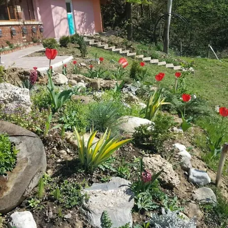 Ranch Diamond Sarajevo With Jacuzzi Dağ evi