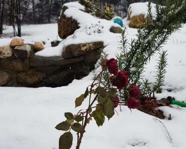 Ranch Diamond Sarajevo * Vogosca