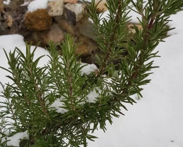 Ranch Diamond Sarajevo Chalet Vogosca